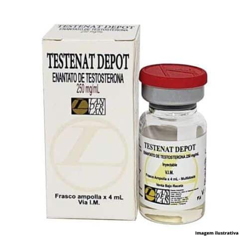Testenat landerlan - enantato de testosterona 4ml 250mg