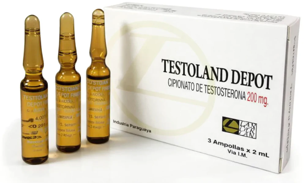 Testoland Landerlan 3x ampolas de 2ml